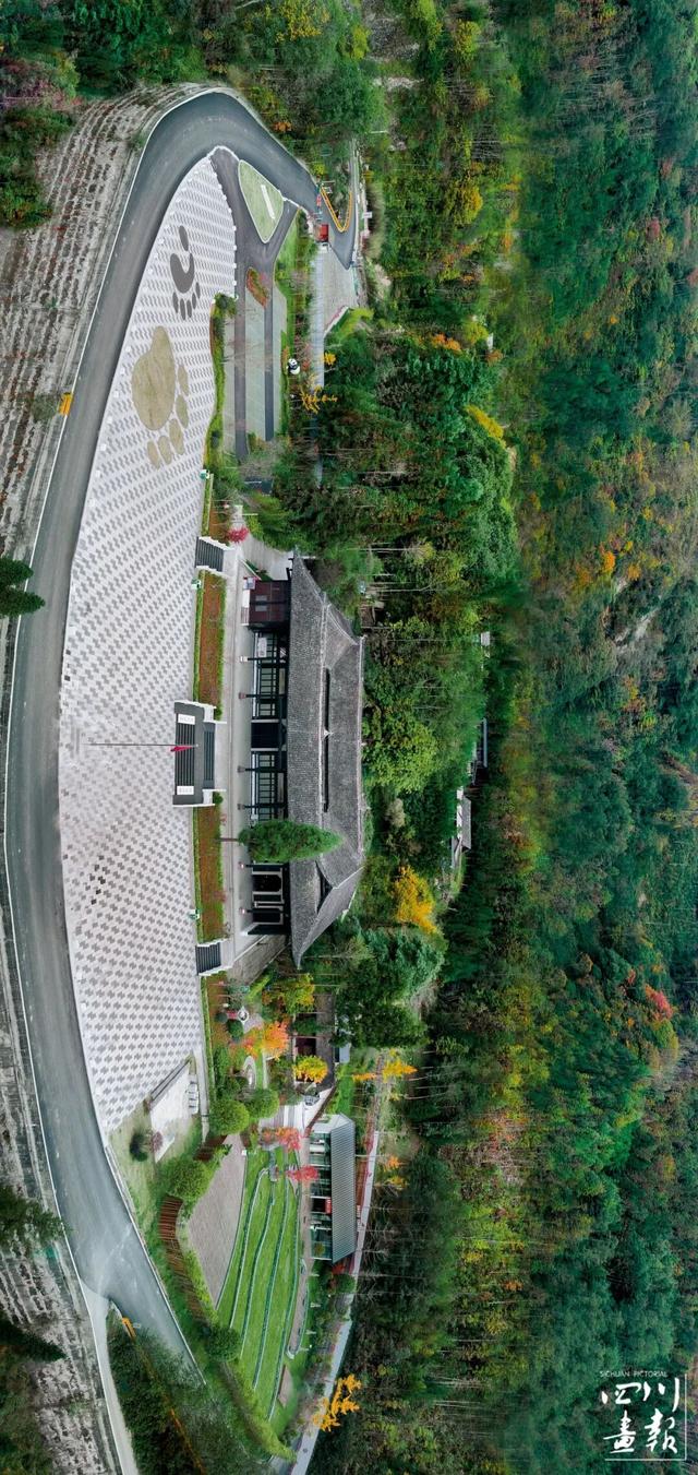 画卷天府·熊猫盛典｜熊猫文化，从这里走向世界