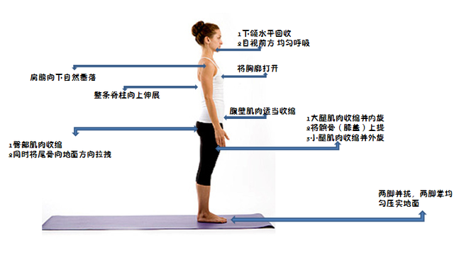 科普平谷｜一个比散步还简单的动作，改善体态、缓解肩颈痛！