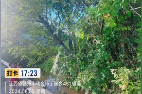 危险！危险！危险！看到这东西别拿走，关键时刻能救命！图片