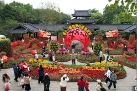 广西南宁迎春花展引游人图片