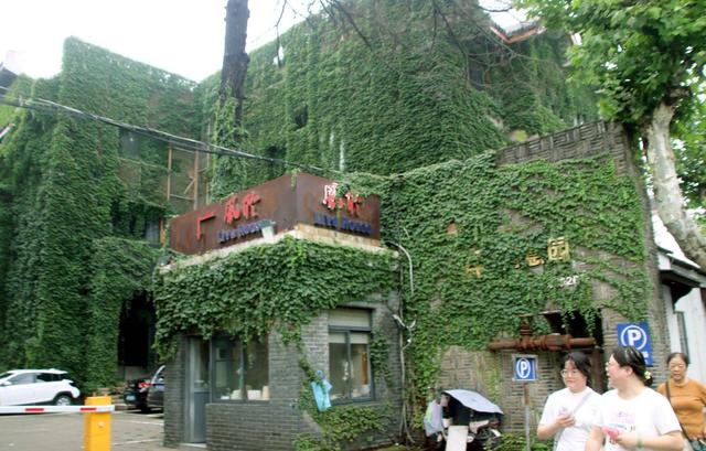 江苏苏州：绿色爬山虎为街头添景