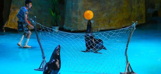 亲~~免费游乐和乐都的机会来了！