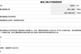 总投资额24.59亿元！上海迪士尼度假区扩建新景点“艾特项目”，毗邻疯狂动物城主题园区图片