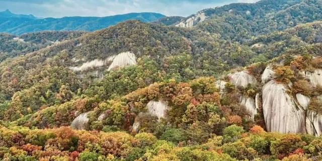 亮相央视！洛阳这些赏秋地，太美！
