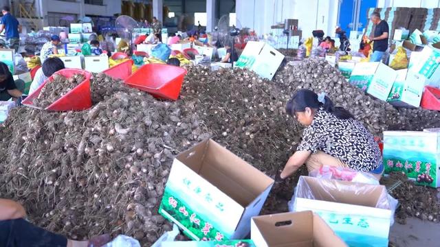 铅山县红芽芋电商直播带货大赛等你来挑战
