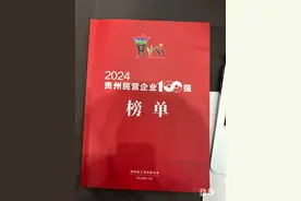 2024年贵州民营企业100强、制造业民营企业20强榜单出炉图片