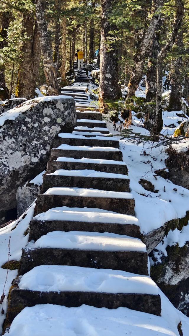 踏雪寻野！七女峰初冬徒步，美到词穷