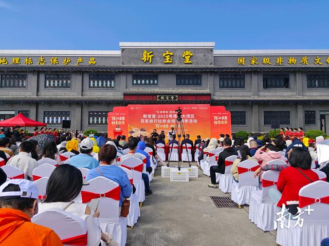 新会柑采摘季启幕！湾区文旅融合“柑”之如饴