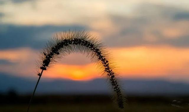 不来珲春，怎知秋色如许？（惊艳美图来袭）