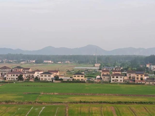 在南京当“岛主”是怎样一种体验？