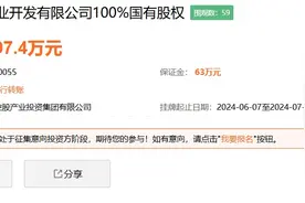底价2097.4万，济南东虞置业100%国有股权挂牌转让图片