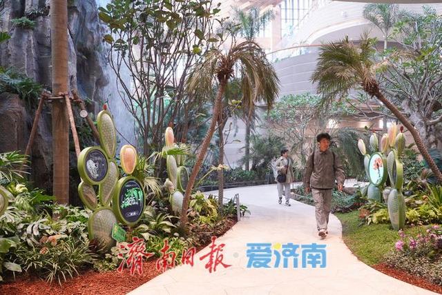 鹊华中新园特色景观引游人争相打卡