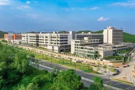 江门开平：筑牢高质量发展“基层基础”图片