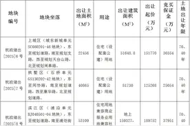 杭州挂牌3宗涉宅用地，石桥单元、城东新城单元、浦沿单元上新图片