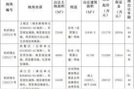 杭州挂牌3宗涉宅用地，石桥单元、城东新城单元、浦沿单元上新图片