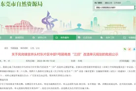总建面超40万㎡！东莞又一“巨无霸”旧改项目即将启动图片