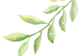 请查收！一份关于端午节食品安全消费的温馨提示图片