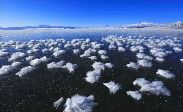 新知|半湖脂玉半湖蓝！赛里木湖冰雪秀浪漫上演