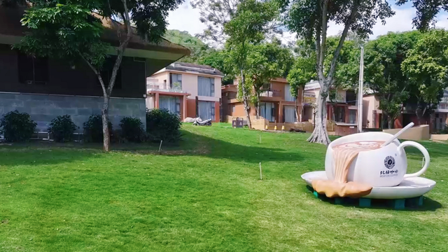 隆阳区：“咖啡+旅居”点燃乡村活力