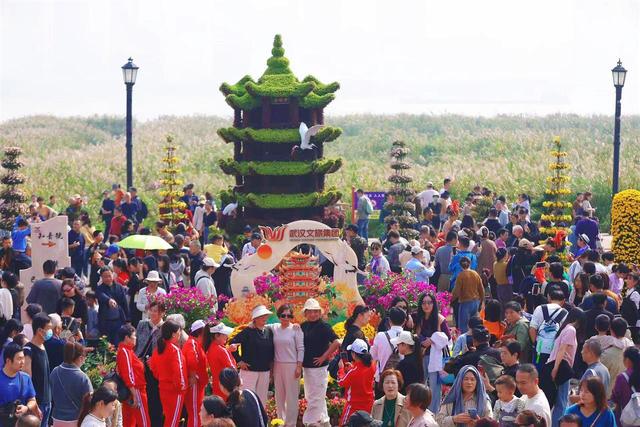 金菊铺锦映江城，志愿红暖赏菊路，武汉文旅志愿者护航金秋菊展