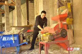 张家界市慈利县：生态养殖牛肉香图片