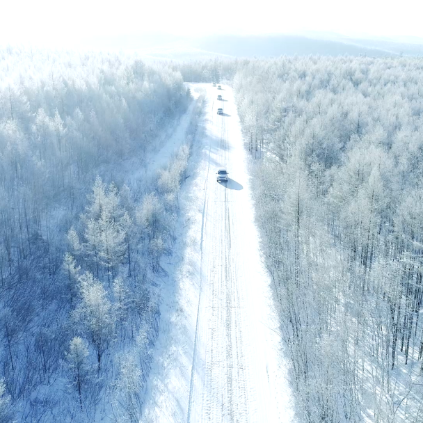 今年冬天，把方向盘“交给”呼伦贝尔