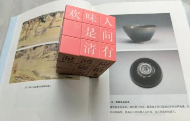 新华走笔｜东坡的魔方