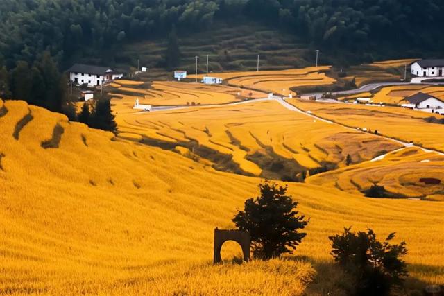 2026来江西，春夏秋冬都有趣！