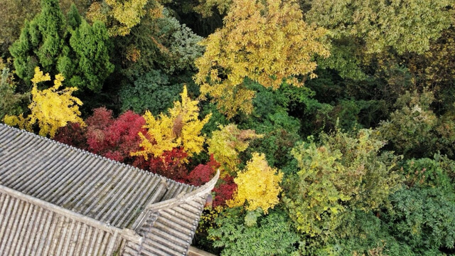秋天必须这样耍！都江堰限定美景即将上线