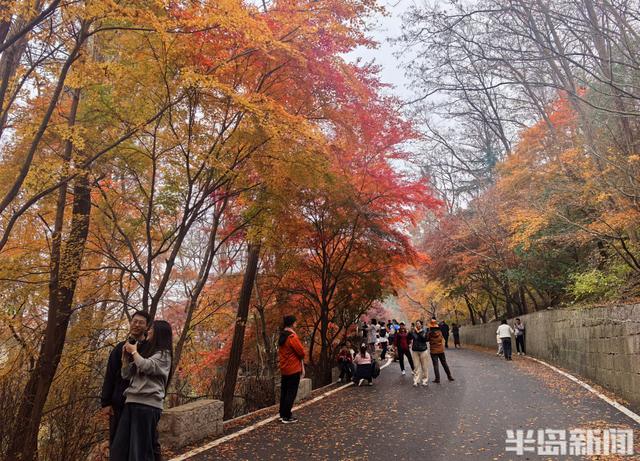 北九水网红路，周末打卡人气高！