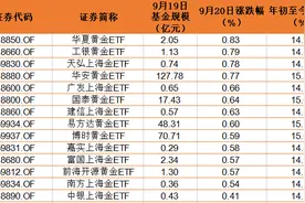 金价持续冲高，14只主题基金年内均涨超14%，后劲如何？图片