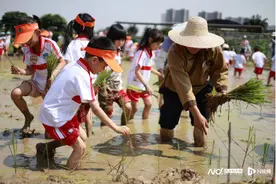 “印象中国·广州站”研学实践活动之旅开启图片