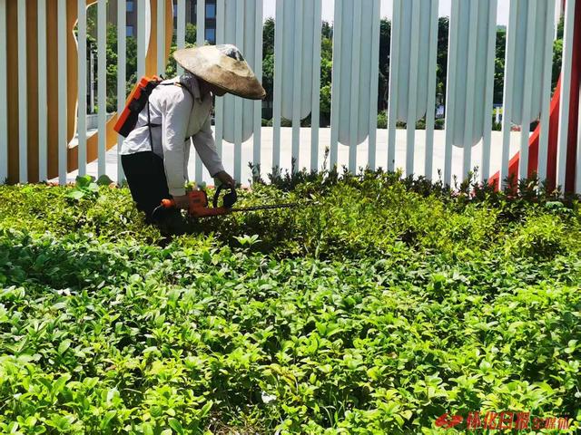 福地怀化 懂你如家｜​怀化粟裕公园  提升环境服务迎盛会