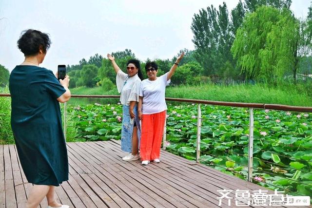 壹点号·秀山东｜黄河公园夏韵悠悠荷满塘