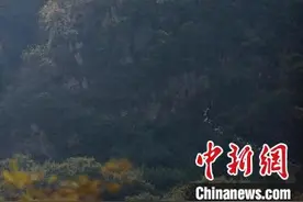 丹东虎山长城吸引游客图片