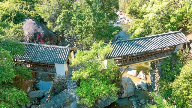 生态为底文化为魂——在双柏邂逅全新的旅居生活