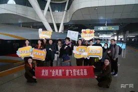 复兴号智能动车组首次驶上青藏高原  西宁至武汉10小时内可抵达图片
