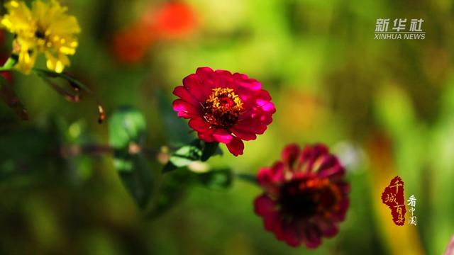 千城百县看中国｜福建寿宁：微寒暖阳时