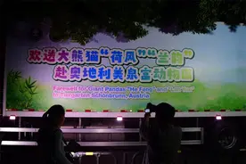 大熊猫“荷风”“兰韵”启程赴奥地利图片