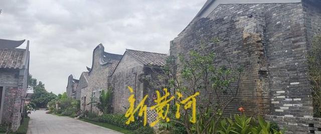 沉睡古村变身文旅新地标，泰康罗浮山下“耕”出新活力