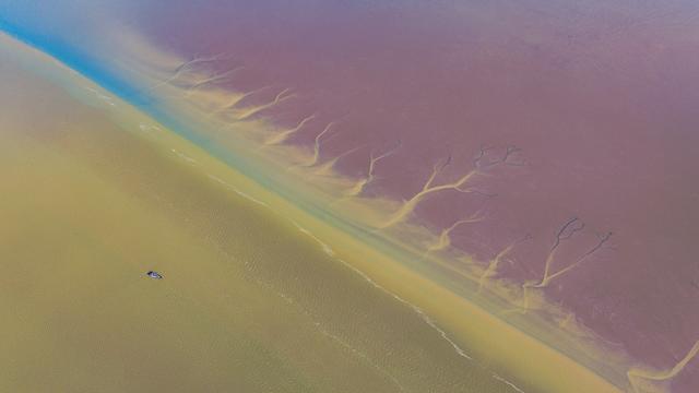 “山东邂逅美”摄影大赛｜黄河入海口夏日景色