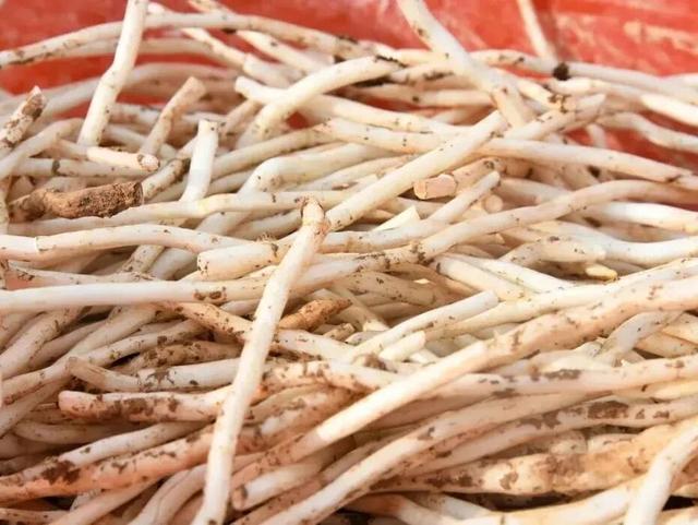 啥？我的旅游搭子来自千年前