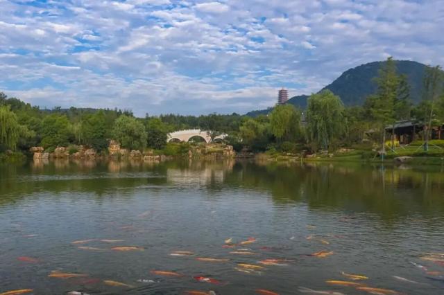 “牛首十景”全球命名征集活动正式启动