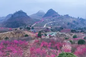 G视觉·人物故事丨吴光荣：十二年“雕琢” 换来青山 富了民图片