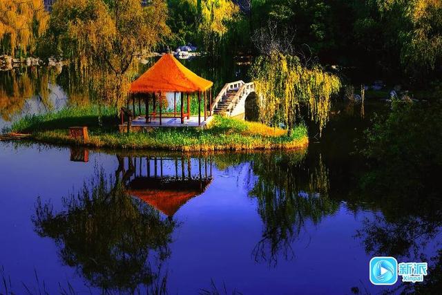 在潍坊汶河岸边，来一场最美的遇见！