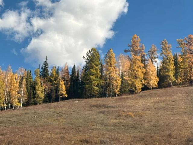 “道路就是生活”——给豆儿的信