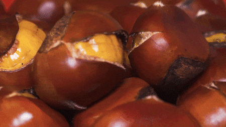 在淮安，寻找属于秋天的浪漫