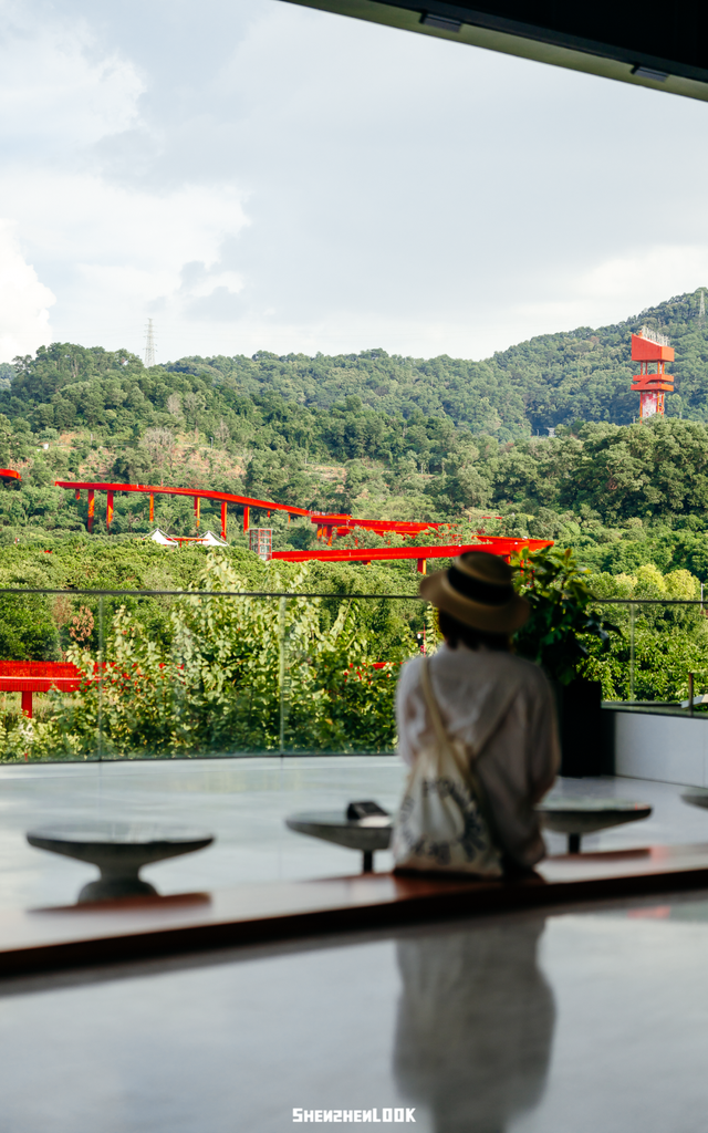 深圳环境五星的「网红公园」，不能再低调了