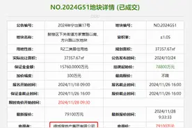 民企唱主角，南京拍出5地块“入账”51.53亿 鼓楼滨江宅地溢价0.4%被绿城拿下图片