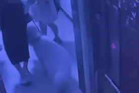 女子牵狗进电梯称遭殴打，警方通报详情图片